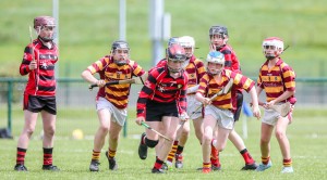 Eastern Allianz Cumann na mBunscol U13 Hurling Finals