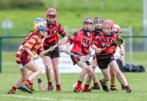 Eastern Allianz Cumann na mBunscol U13 Hurling Finals