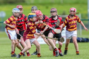 Eastern Allianz Cumann na mBunscol U13 Hurling Finals