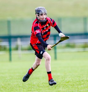 Eastern Allianz Cumann na mBunscol U13 Hurling Finals