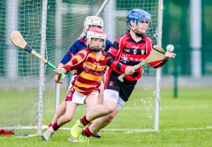 Eastern Allianz Cumann na mBunscol U13 Hurling Finals