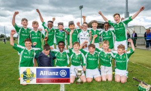 Eastern Allianz Cumann na mBunscol U13 Hurling Finals