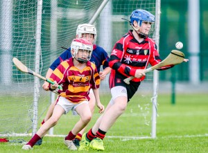 Eastern Allianz Cumann na mBunscol U13 Hurling Finals