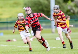 Eastern Allianz Cumann na mBunscol U13 Hurling Finals