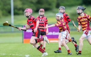 Eastern Allianz Cumann na mBunscol U13 Hurling Finals