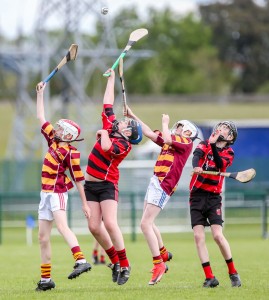 Eastern Allianz Cumann na mBunscol U13 Hurling Finals