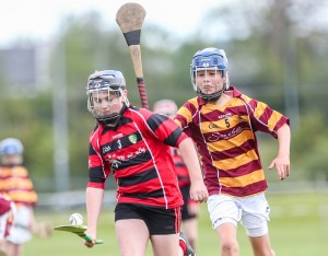 Eastern Allianz Cumann na mBunscol U13 Hurling Finals