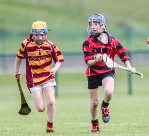 Eastern Allianz Cumann na mBunscol U13 Hurling Finals