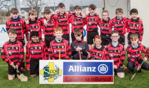 Allianz Cuman na mBunscol Co.Mini 7s Finals played in Fraher Field.