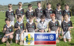 Allianz Cuman na mBunscol Co.Mini 7s Finals played in Fraher Fie