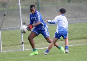 Mini Sevens Football 2017  : Photo Maurice Hennebry