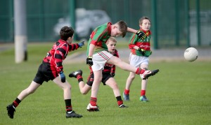 Mini Sevens Football 2017  : Photo Maurice Hennebry