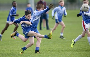 Mini Sevens Football 2017  : Photo Maurice Hennebry