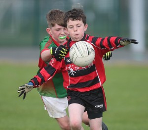 Mini Sevens Football 2017  : Photo Maurice Hennebry