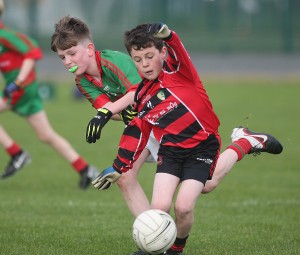 Mini Sevens Football 2017  : Photo Maurice Hennebry