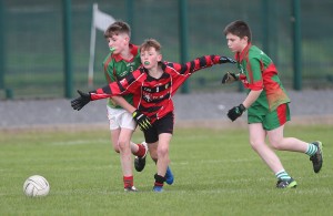 Mini Sevens Football 2017  : Photo Maurice Hennebry