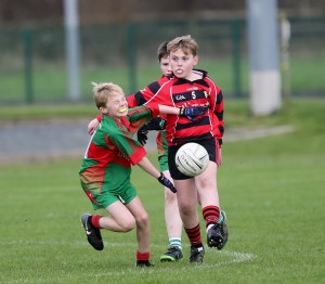 Mini Sevens Football 2017  : Photo Maurice Hennebry