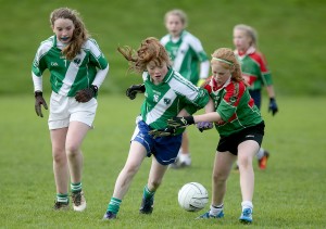 Mini Sevens Football 2017  : Photo Maurice Hennebry