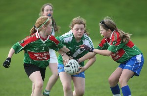 Mini Sevens Football 2017  : Photo Maurice Hennebry