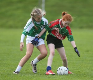 Mini Sevens Football 2017  : Photo Maurice Hennebry