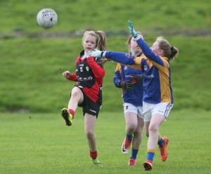 Mini Sevens Football 2017  : Photo Maurice Hennebry