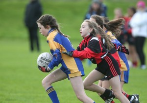 Mini Sevens Football 2017  : Photo Maurice Hennebry