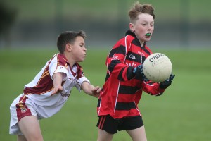 Mini Sevens Football 2017  : Photo Maurice Hennebry