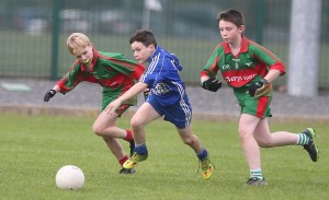 Mini Sevens Football 2017  : Photo Maurice Hennebry