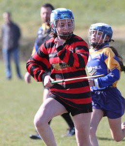 Eastern Mini 7's Camogie Finals 2016