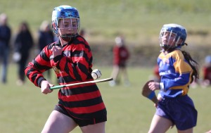 Eastern Mini 7's Camogie Finals 2016