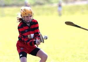 Eastern Mini 7's Camogie Finals 2016