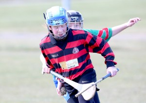 Eastern Mini 7's Camogie Finals 2016