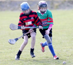 Eastern Mini 7's Camogie Finals 2016