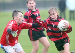 Cumann na mBunscol Mini 7 Football Finals 2018