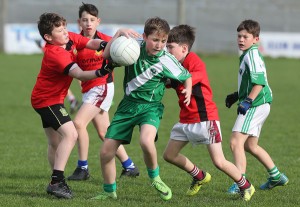 Cumann na mBunscol Football Finals 24-10-2018