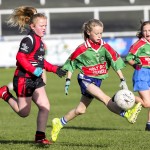 Cumann na mBunscol Allianz Mini Sevens Eastern Finals 2019