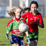 Cumann na mBunscol Allianz Mini Sevens Eastern Finals 2019