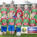 Cumann na mBunscol Allianz Mini Sevens Eastern Finals 2019