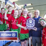 Cumann na mBunscol Allianz Mini Sevens Eastern Finals 2019