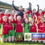 Cumann na mBunscol Allianz Mini Sevens Eastern Finals 2019