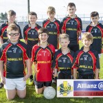 Allianz Cumann na mBunscol Mini Sevens Boys Eastern Football Fin