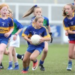 Portlaw v GS Phort Láirge Alllianz Cumann na mBunscol U13 Roin