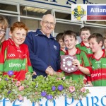 Ferrybank v Rathgormack Alllianz Cumann na mBunscol U13 Eastern