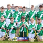 Allianz Cunann na mBunscol Mini 7's Hurling Finals 2016