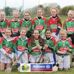 Eastern Mini 7's Camogie Finals 2016