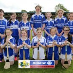 newtown-ballydurn-camogie