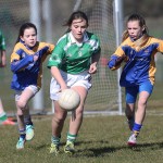 Mini 7's Football finals 2016 ; Photo Maurice Hennebry