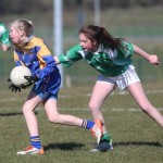 Mini 7's Football finals 2016 ; Photo Maurice Hennebry