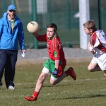 Mini 7's Football finals 2016 ; Photo Maurice Hennebry