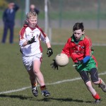 Mini 7's Football finals 2016 ; Photo Maurice Hennebry